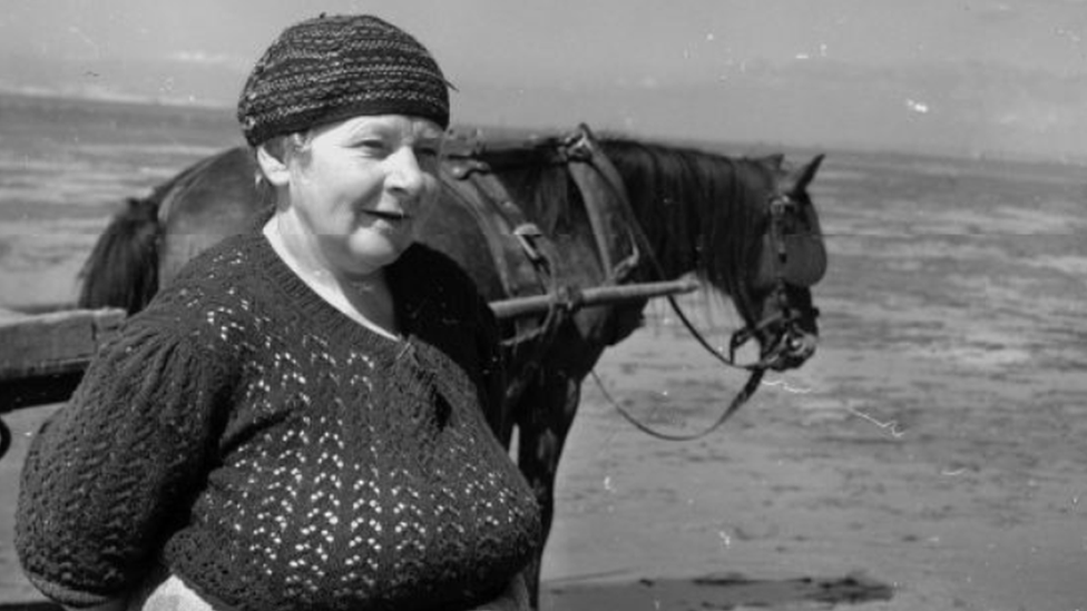 Menyw yn caglu cocos ym Mhenclawdd ym 1951