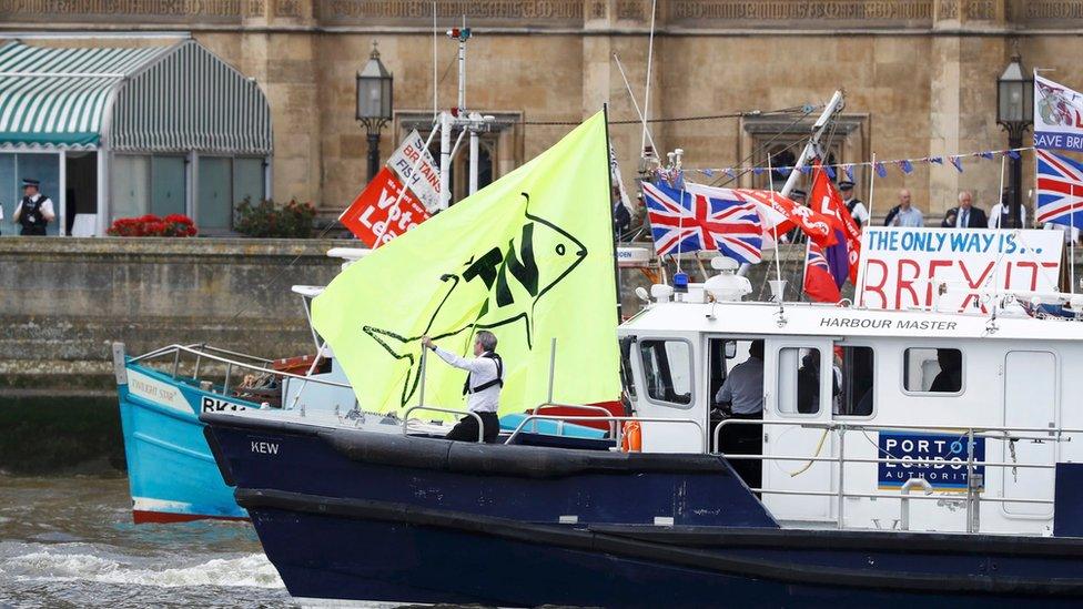 Rival flotillas outside the Houses of Parliament