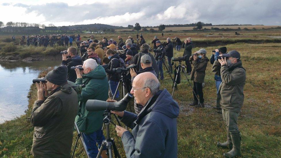 Birdwatchers