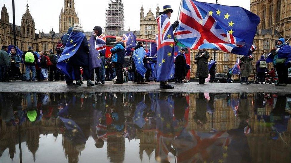 Brexit campaigners outside Parliament