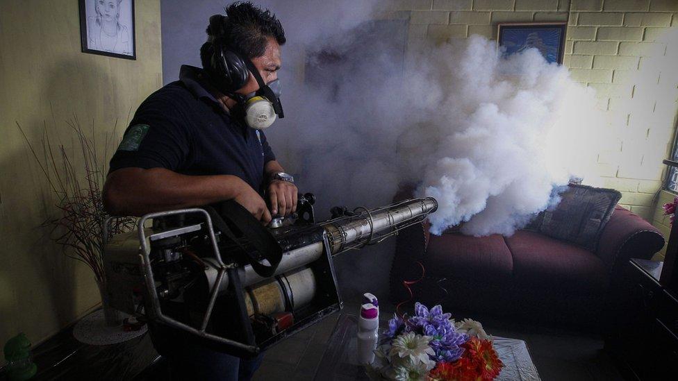 A worker of the Salvadorean Ministry of Health fumigates a house in Soyapango, 6 kilometrws from San Salvador, El Salvador, 21 January 2016.