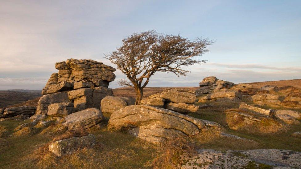 Hound Tor Rocks