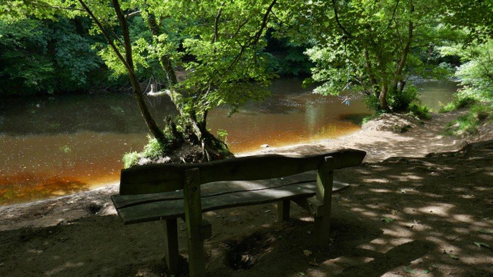 Bench dedicated to Dame Thora Hird at Knaresborough