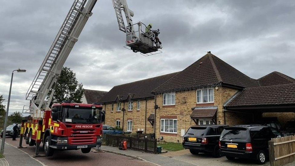 Fire crews rescuing the cat