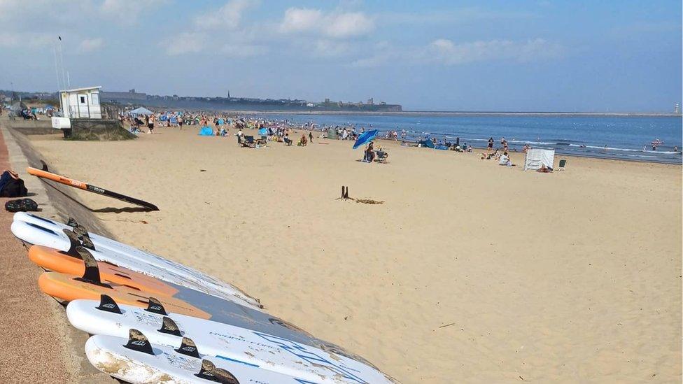 A row of paddleboards laid out on the beach