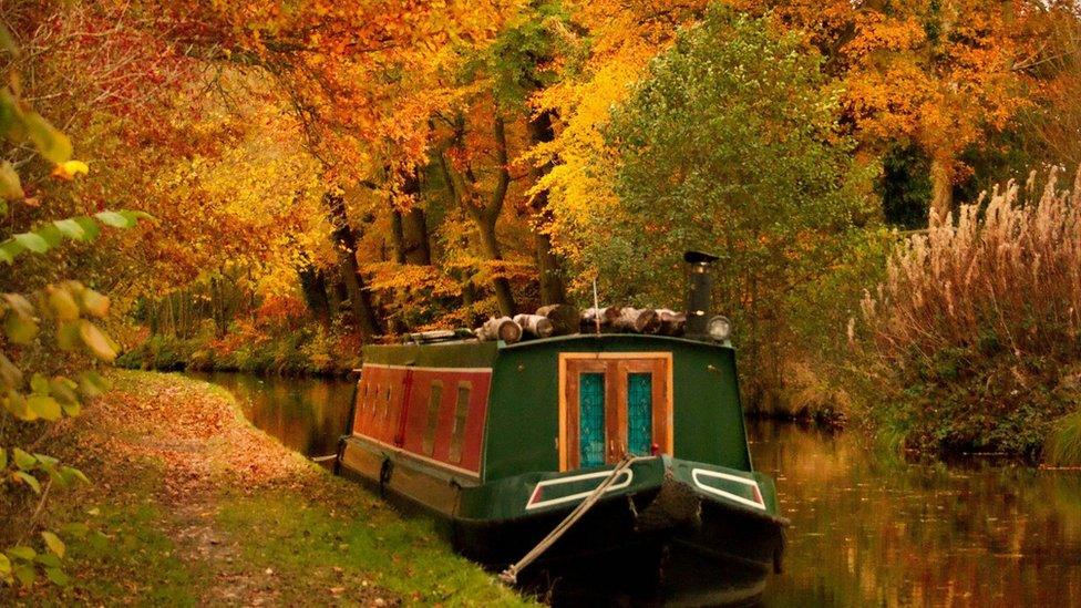 Autumnal trees and a canal boat in Llangollen