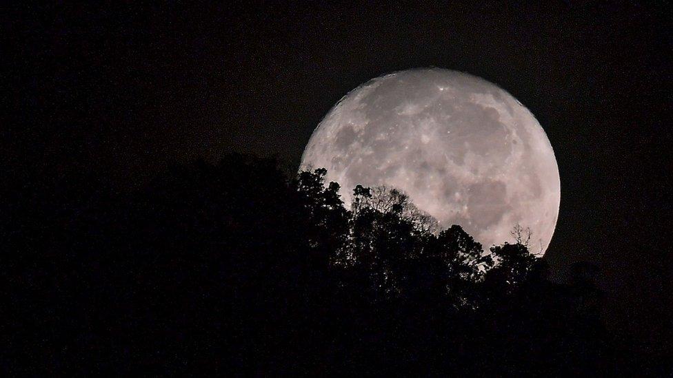 The moon sets behind trees on a hill before sunrise in Karak, in the suburbs of Pahang outside Kuala Lumpur,