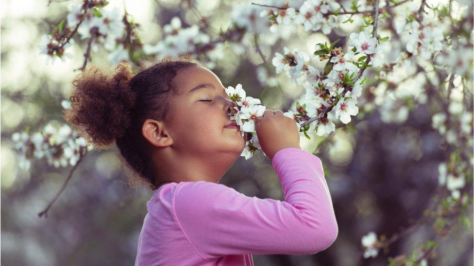 young-girl-smelling-blossom