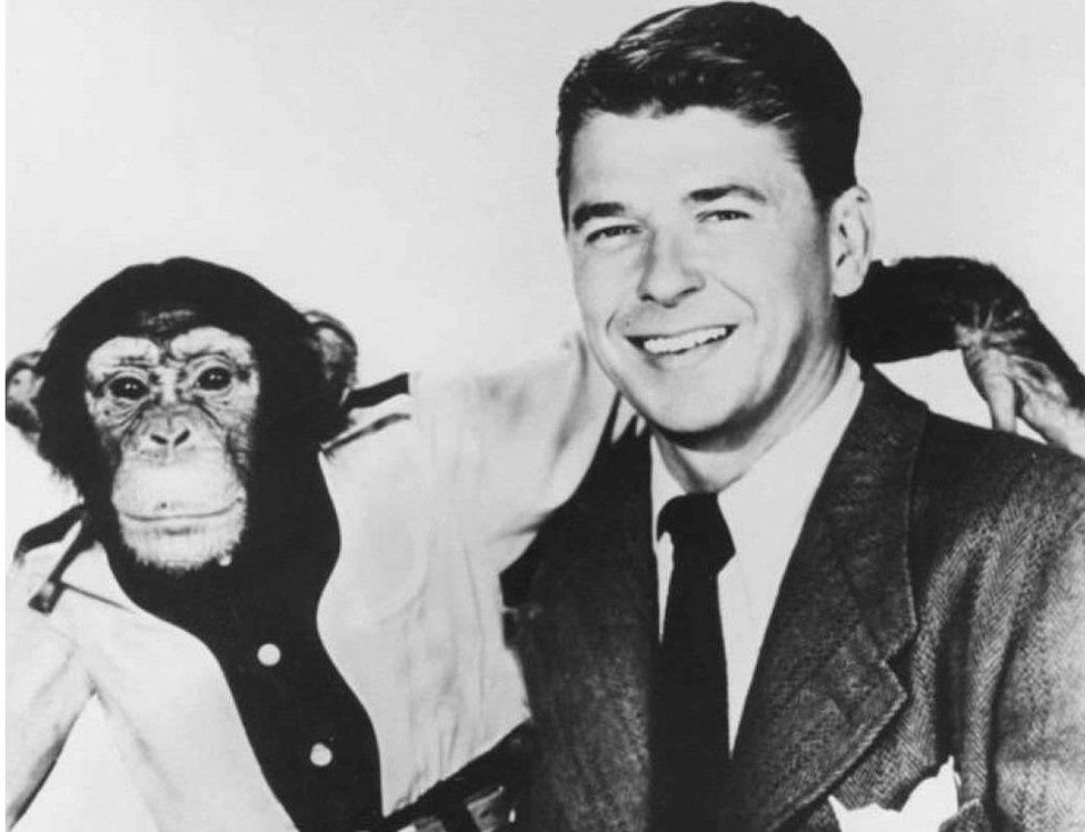 Ronald Reagan with Bonzo the chimp