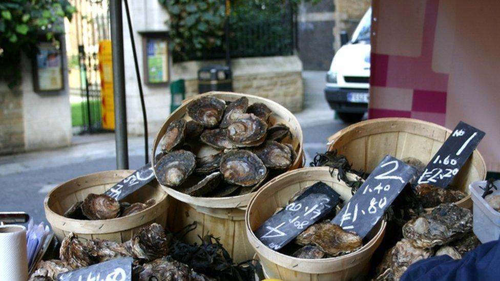 Oysters for sale