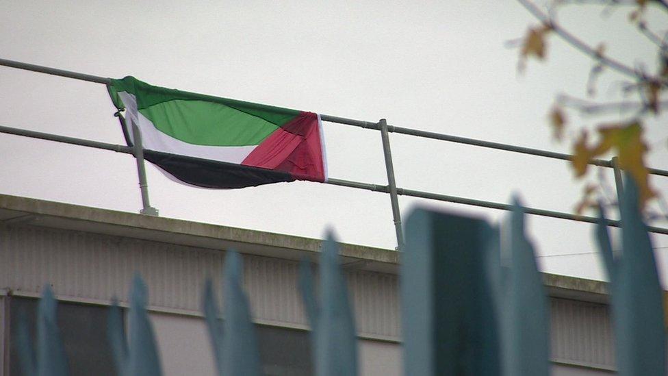 Palestine flag