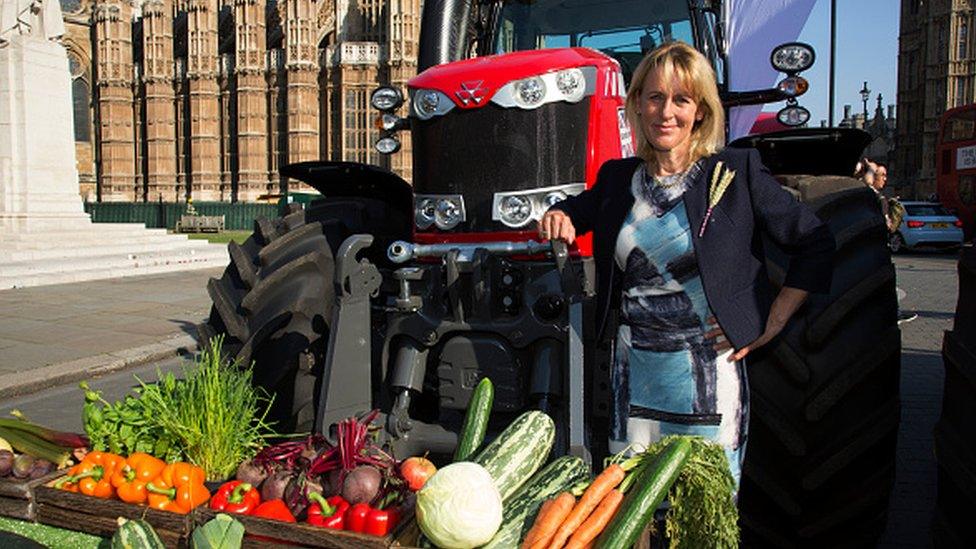 National Farmers' Union (NFU) President Minette Batters