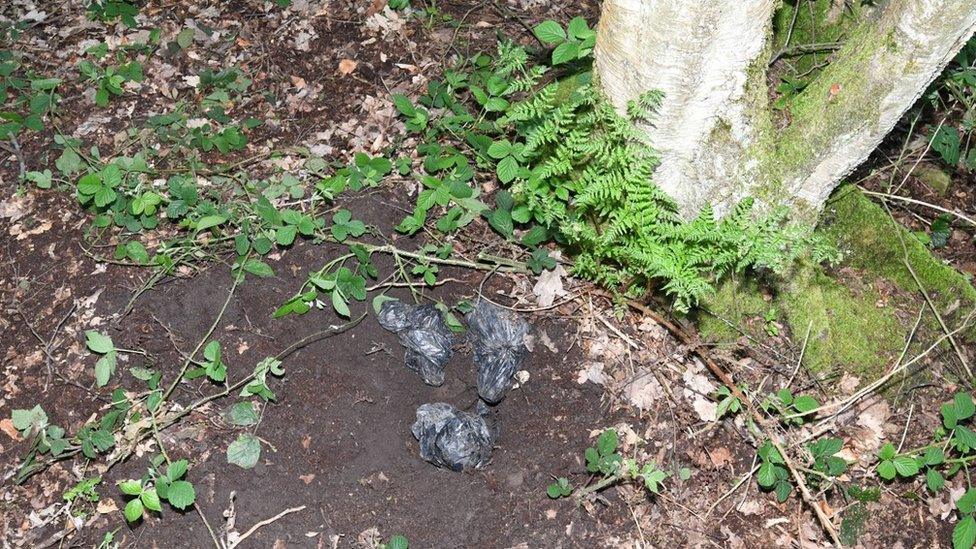 Firearms wrapped in bin bags