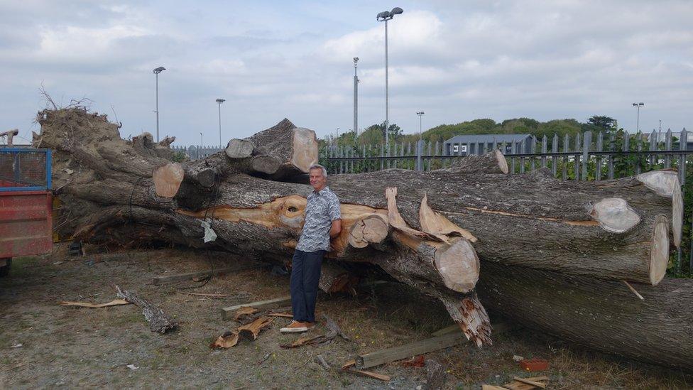 Jonathan Walter with tree