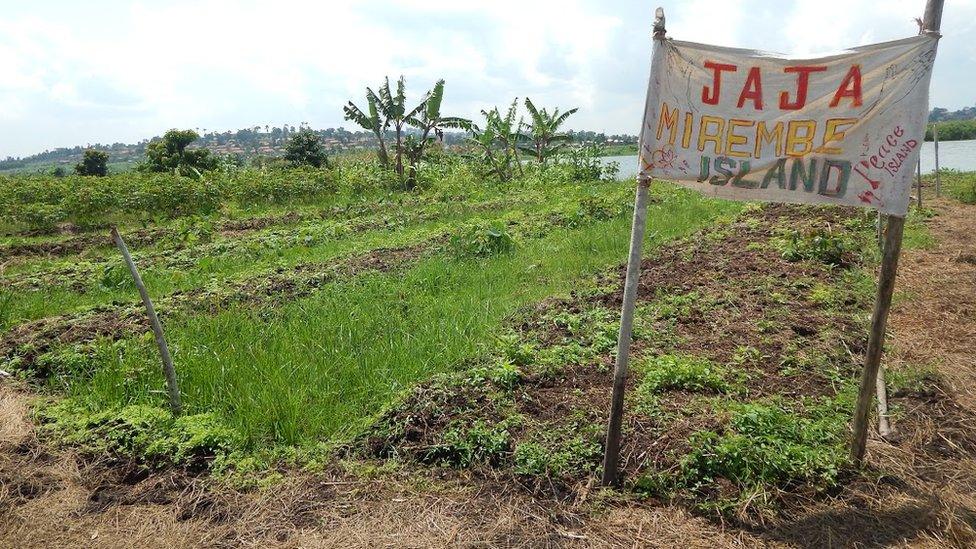 A sign saying "JAJA MIREMBE ISLAND peace island".