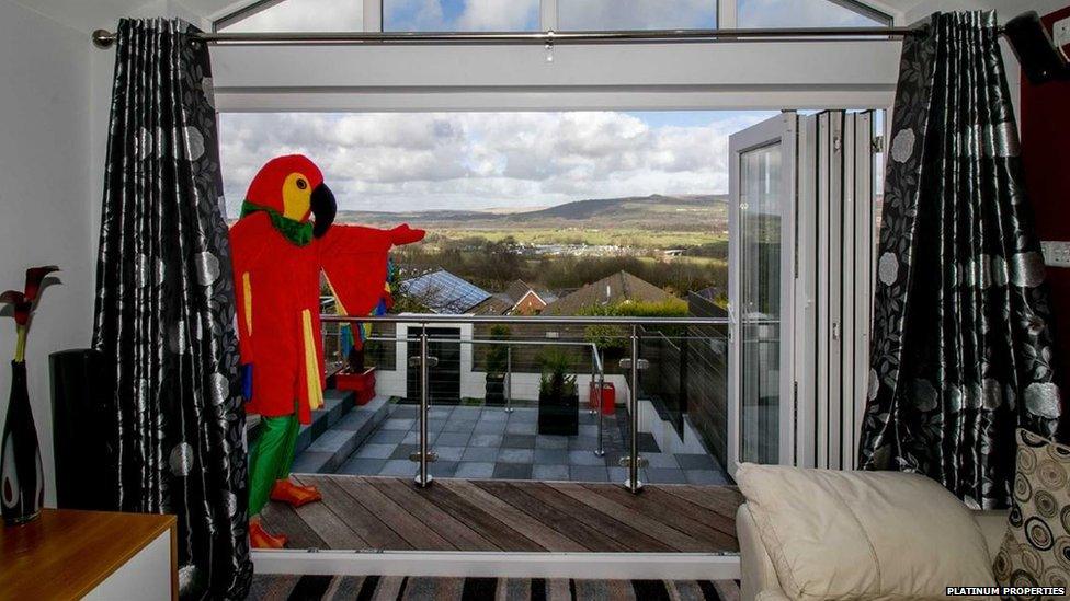 The parrot shows off his beautiful views, where he can really spread his wings