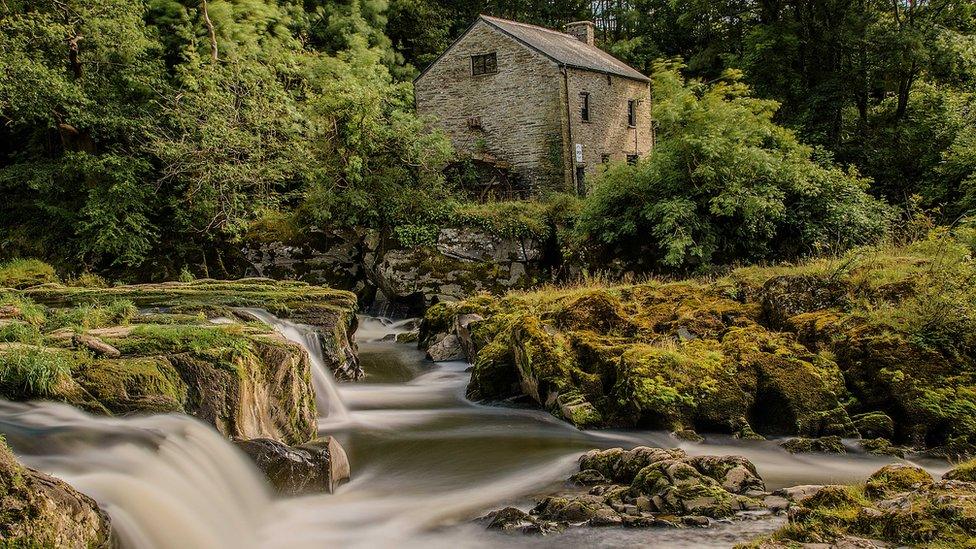 Cenarth falls and mill on the Carmarthenshire/Ceredigion border