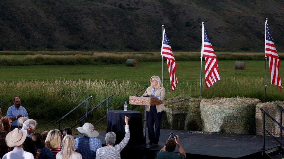 Liz Cheney concedes defeat