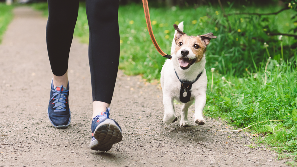 Woman walking a dog