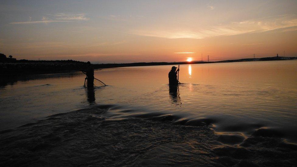 Traditional lave net fishermen at sunrise at Black Rock, Portskewett, Monmouthshire, courtesy of Martin Morgan.