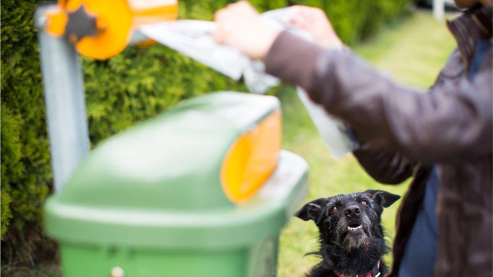 Dog and owner at waste bin