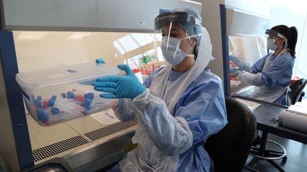 Lab worker carrying samples