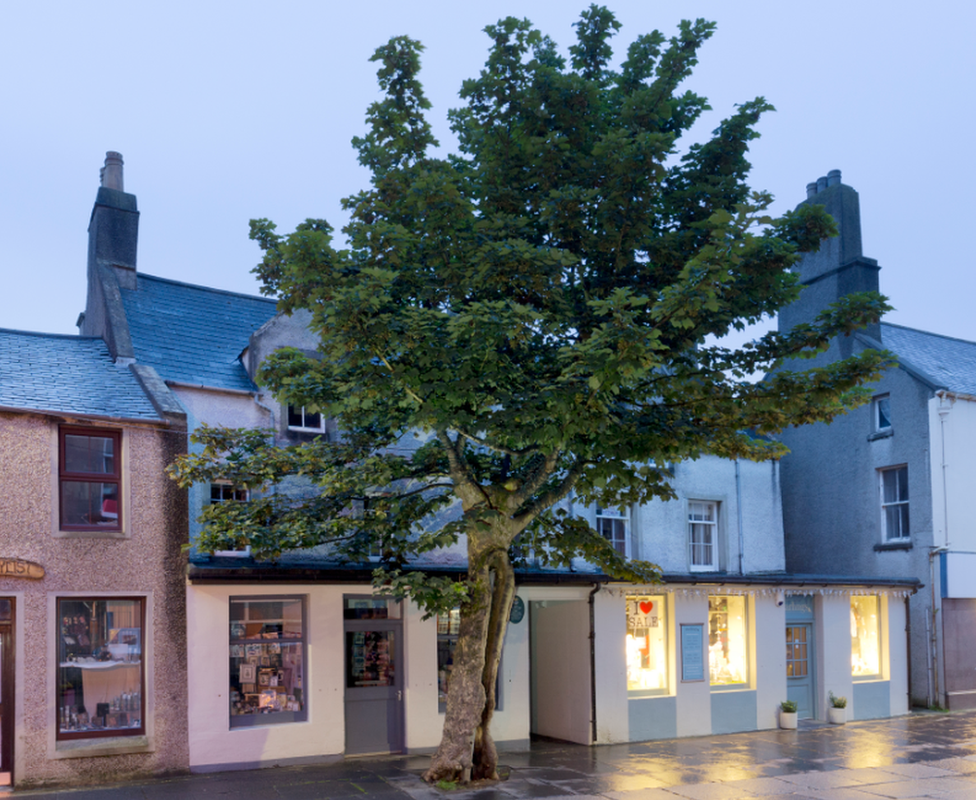 The Big Tree, Kirkwall, Orkney