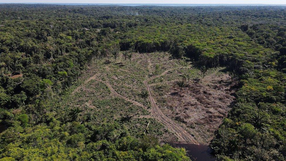 Aerial view of a deforested plot of the Amazon rainforest in Manaus. 8 July 2022.