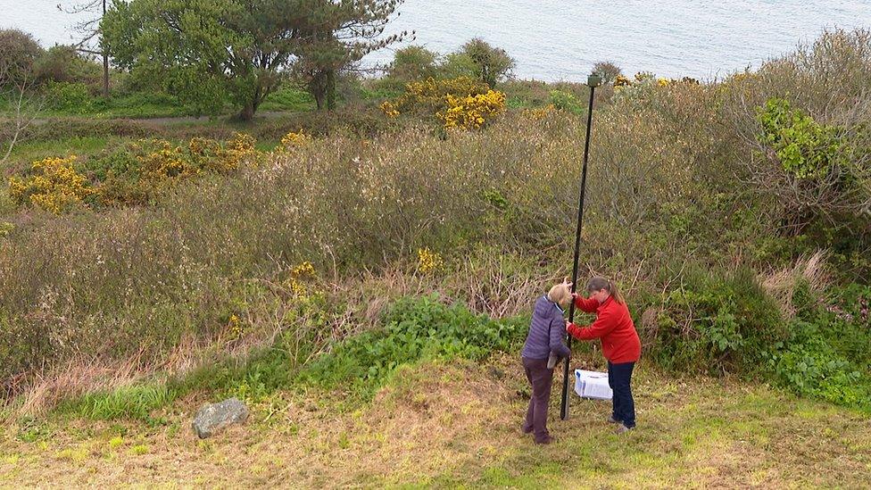 A bat detector being put up