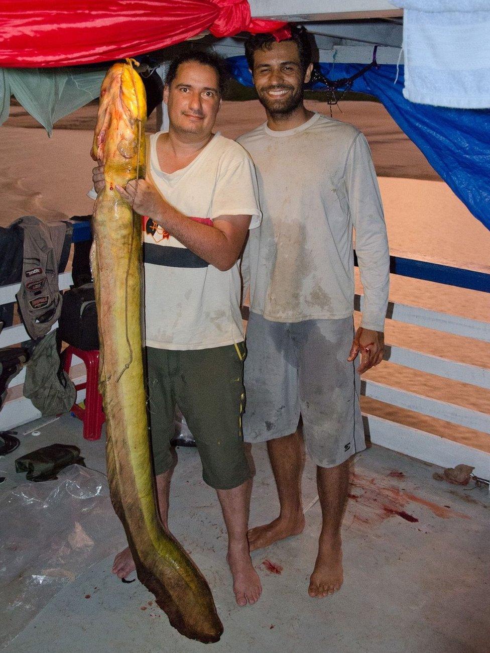 Researchers with electric eel