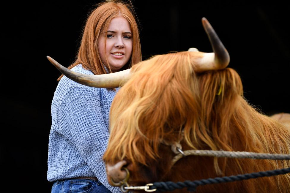 Laura Hunter from Barnhill farm, Shotts, prepares two-year-old Bo