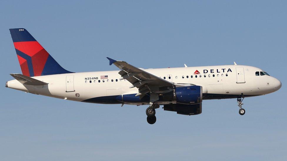 A Delta Airbus A319