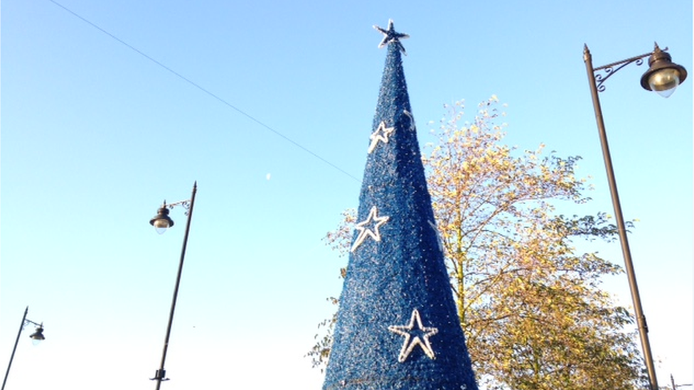 Birstall cone tree