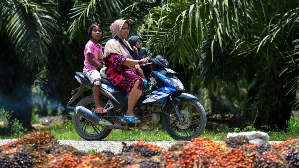 This picture taken on March 27, 2019 shows villagers passing through a palm oil plantation in Meulaboh, Aceh province.