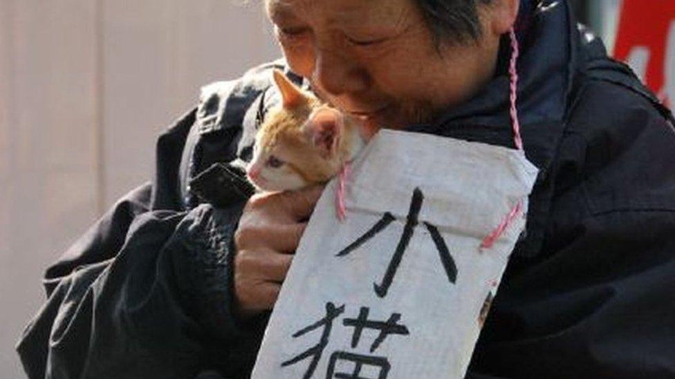 A woman tries to find an owner and home for a kitten