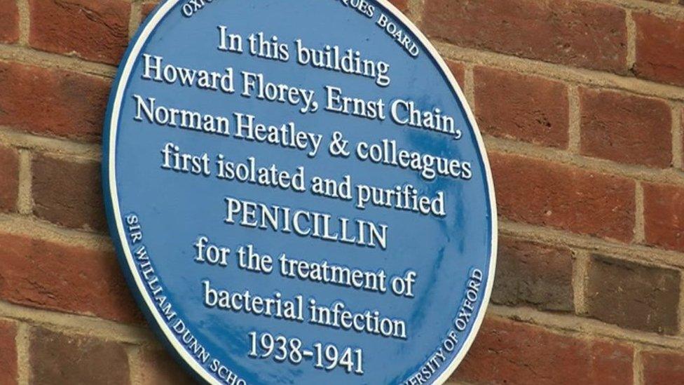 Blue plaque at Sir William Dunn School of Pathology