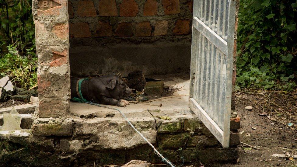 Tea workers' toilet