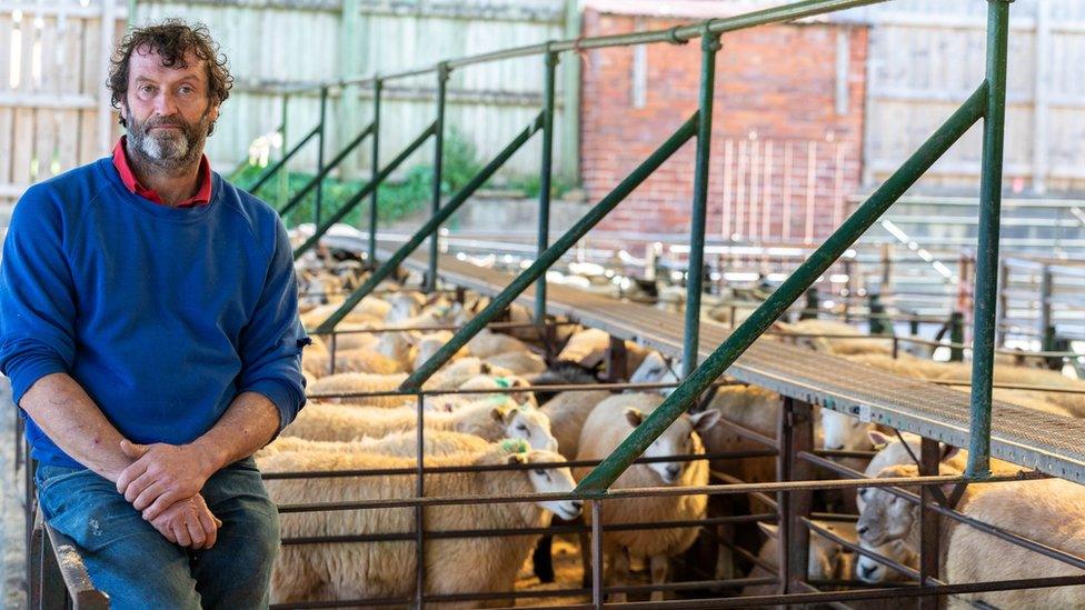 Welsh sheep farmer Jeff Gwillim pictured with his flock at Talgarth Market. He voted to leave the EU but doesn't want to leave without a trade deal