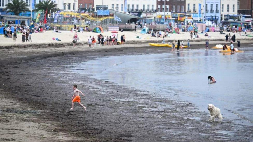 Seaweed on Weymouth beach