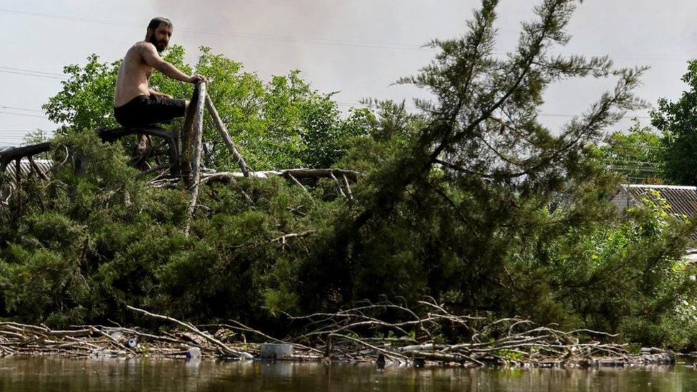 Flooded area near Korsunka in Russian-controlled Ukraine, 7 June 2023.