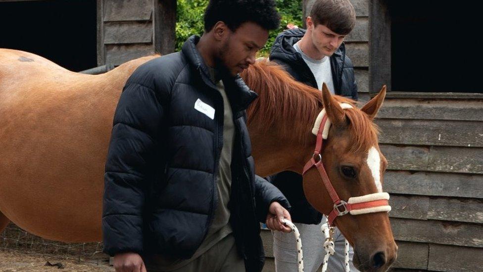 Two young men lead a horse