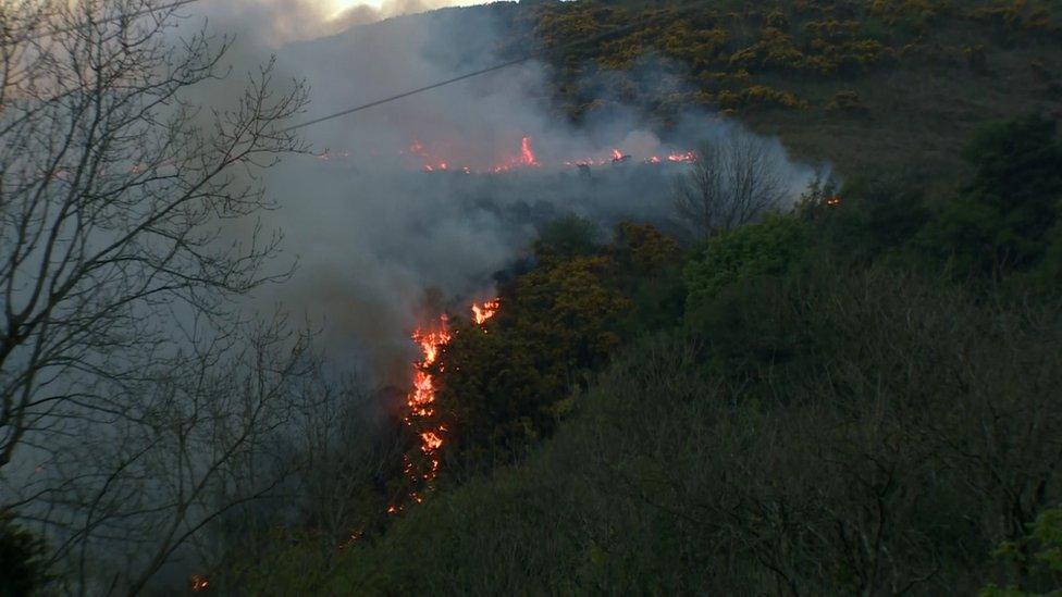 Gorse fire on Cave Hill