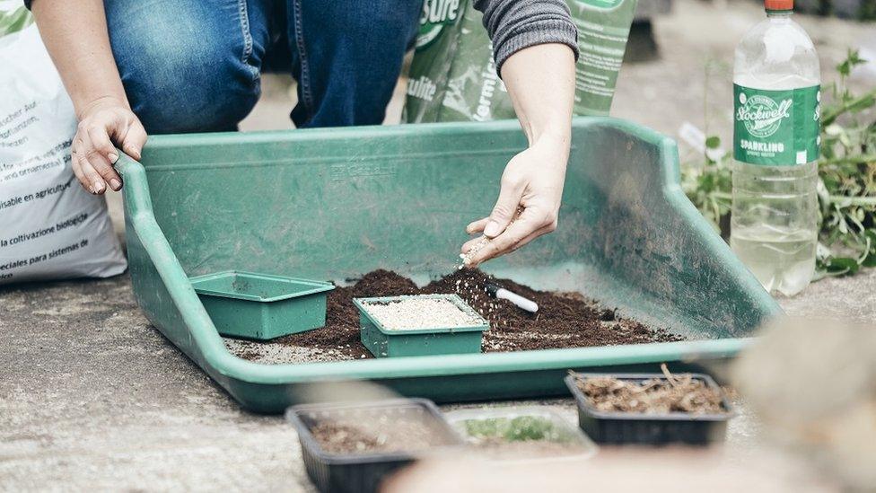 Jo making planting seeds