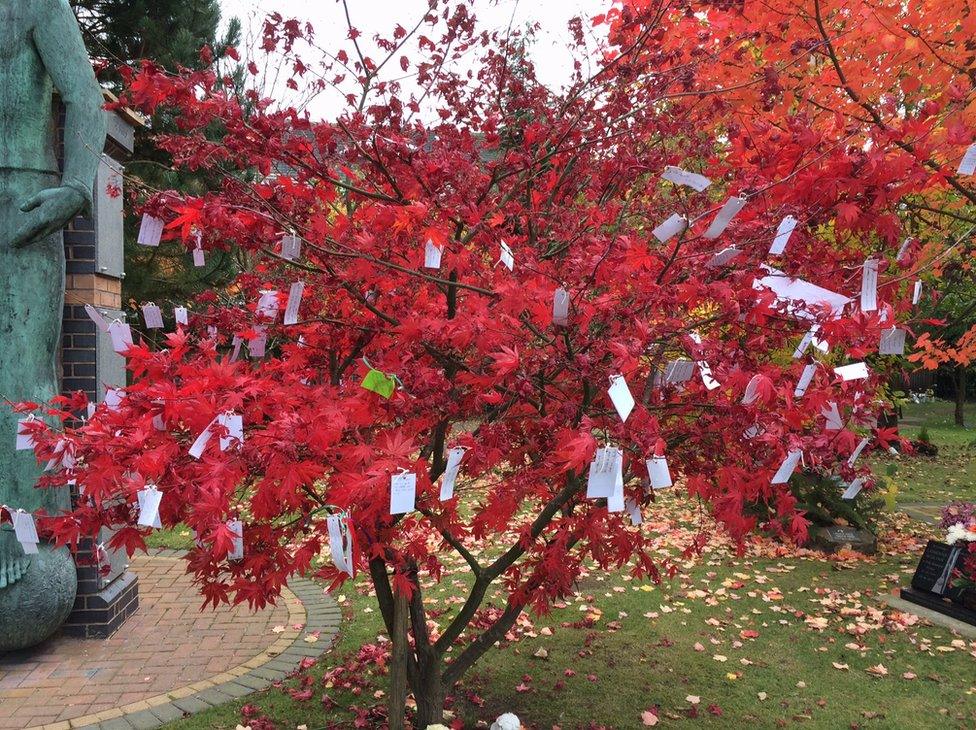 Tree outside church with tributes on