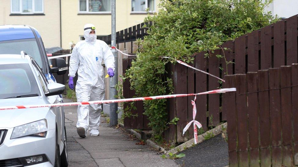 Forensic officers were at the scene in the Drumalane Park area of Newry on Sunday morning