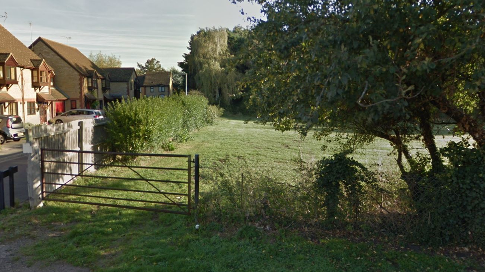 A green field with a gate and trees in the foreground, near Willow Walk.