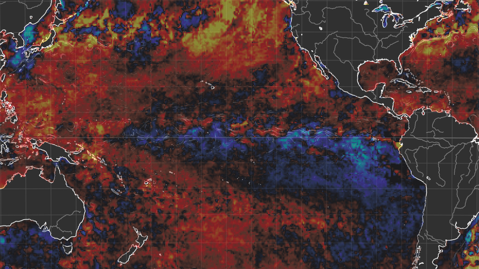 Anomaly map showing that sea surface temperature for much of the eastern Pacific is lower than average