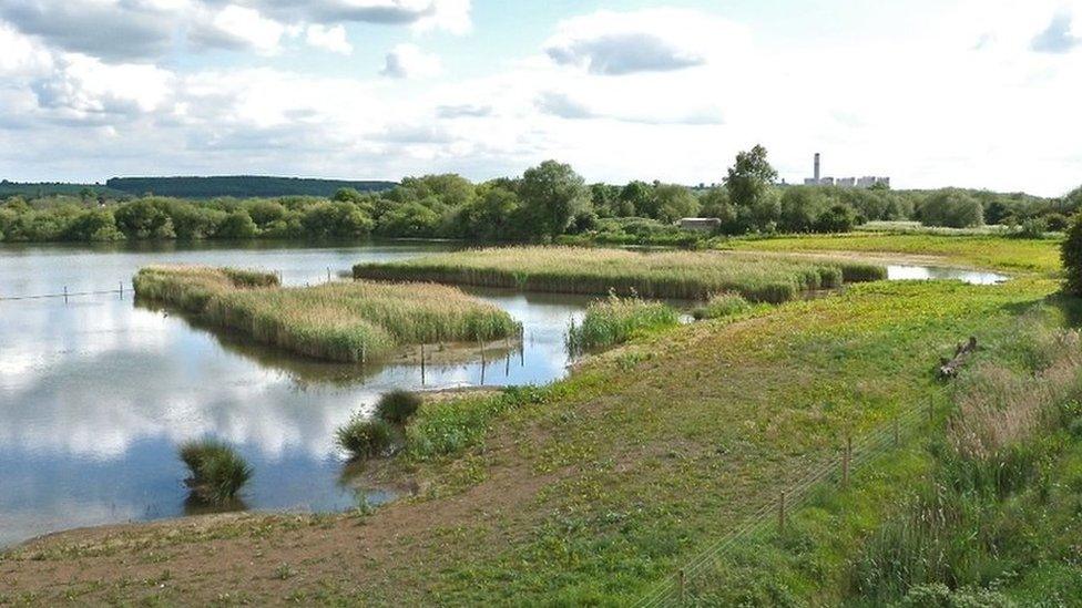 Attenborough Nature Reserve