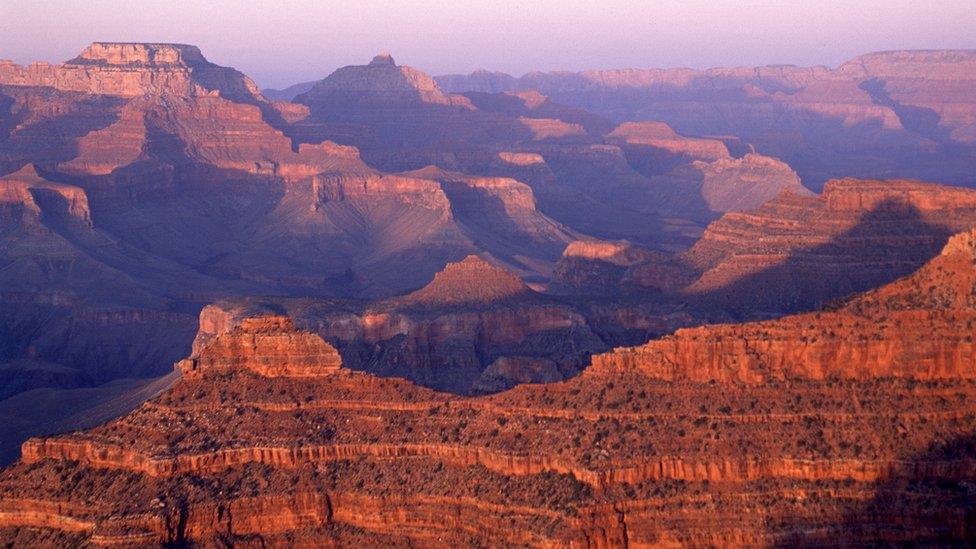 The Grand Canyon