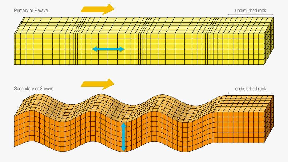 diagram of compression and transverse wave